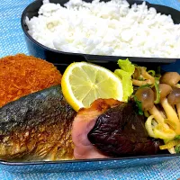 単身赴任弁当209