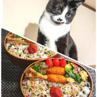 母とムスコのラブラブおソロ♪たけのこ入りこんにゃくきんぴら＆イカメンチ弁当|からあげビールさん