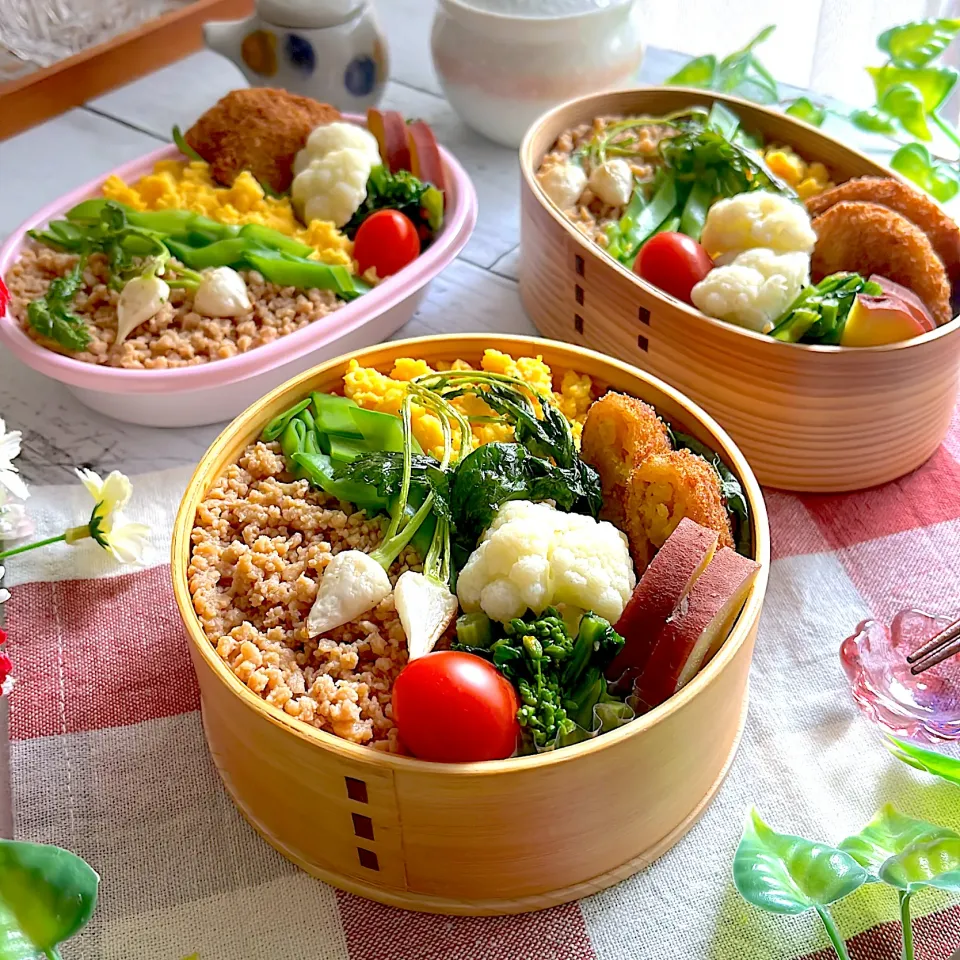 鶏そぼろ弁当|@panna_cotta.703さん