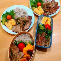 豚肉の野菜炒め弁当|NOZUさん