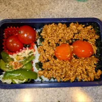 食べれば「ぼんご」の卵黄肉そぼろおにぎり弁当5/2|まりっぺ2025さん