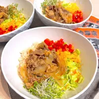 おうち吉野家 フレッシュ牛丼|りんりんさん