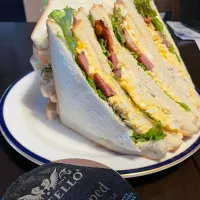 CASTELLOペッパーのたまごサンド🥪| DKさん