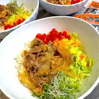 おうち吉野家 フレッシュ牛丼| りんりんさん