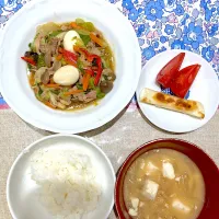 中華丼の具とご飯のセパレート|おしゃべり献立さん
