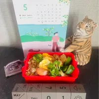 20250501🍱今日のお弁当🍱|akiyo22さん