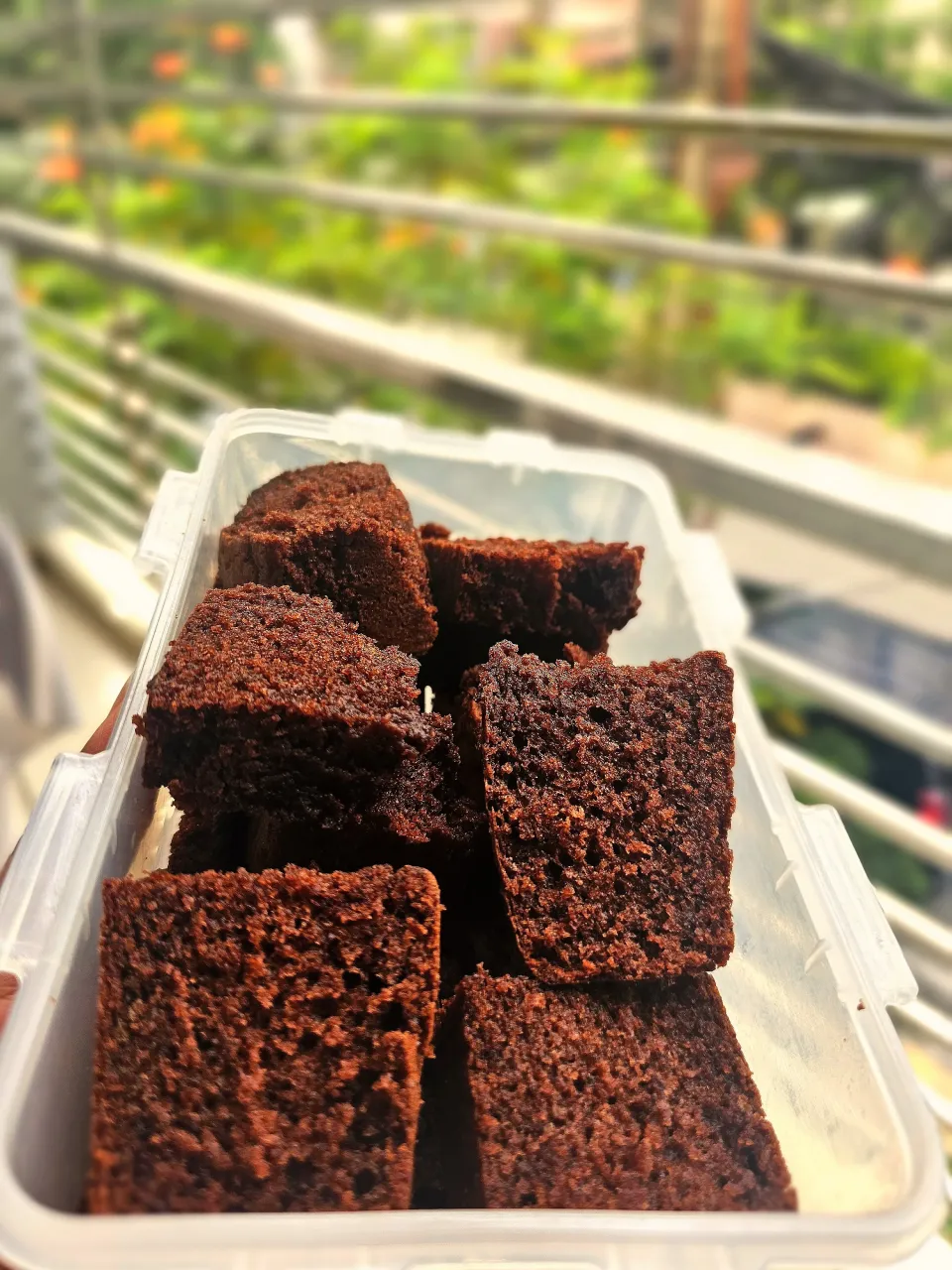 Chocolate Sponge Cake|Sabrina R.さん