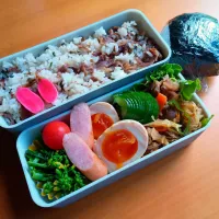 次男弁当&おにぎり|tamagomagomagoさん