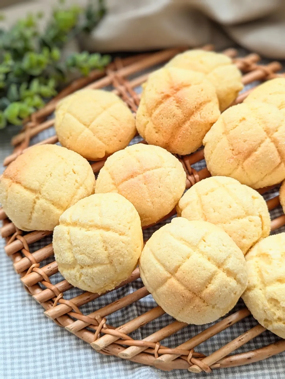 メロンパン🍈🫓|としちゃんさん