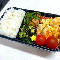 5/3 旦那弁当⁂ささたま弁当| ゆさん