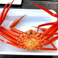 |マチママさん