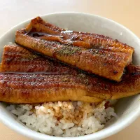 鰻丼|たけさん