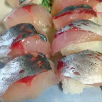 鯵のっけたろー🐟️|さくらんぼさん