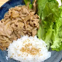 #生姜焼きプレート|トリさん