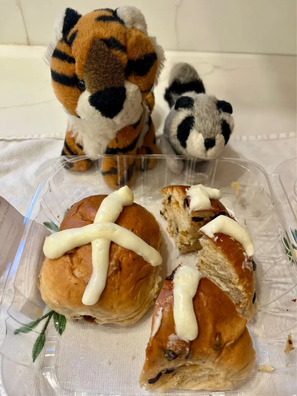 2025/5/3  ホットクロスバンズ　Hot Cross Buns|19 Boys & 野鳥さん