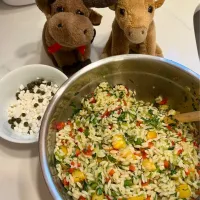 2025/5/3  地中海風オルゾパスタのサラダ　Mediterranean Orzo Salad