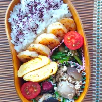 ありがとう弁当💝|まめころさん