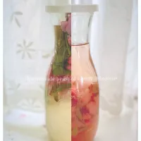 八重桜酵母🌸