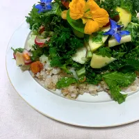 旬野菜のライスサラダ|KimaLABOさん