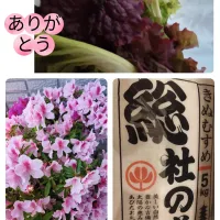 実家へ行ったら逆に貰って帰宅しました😂💐✨|m.rafuさん