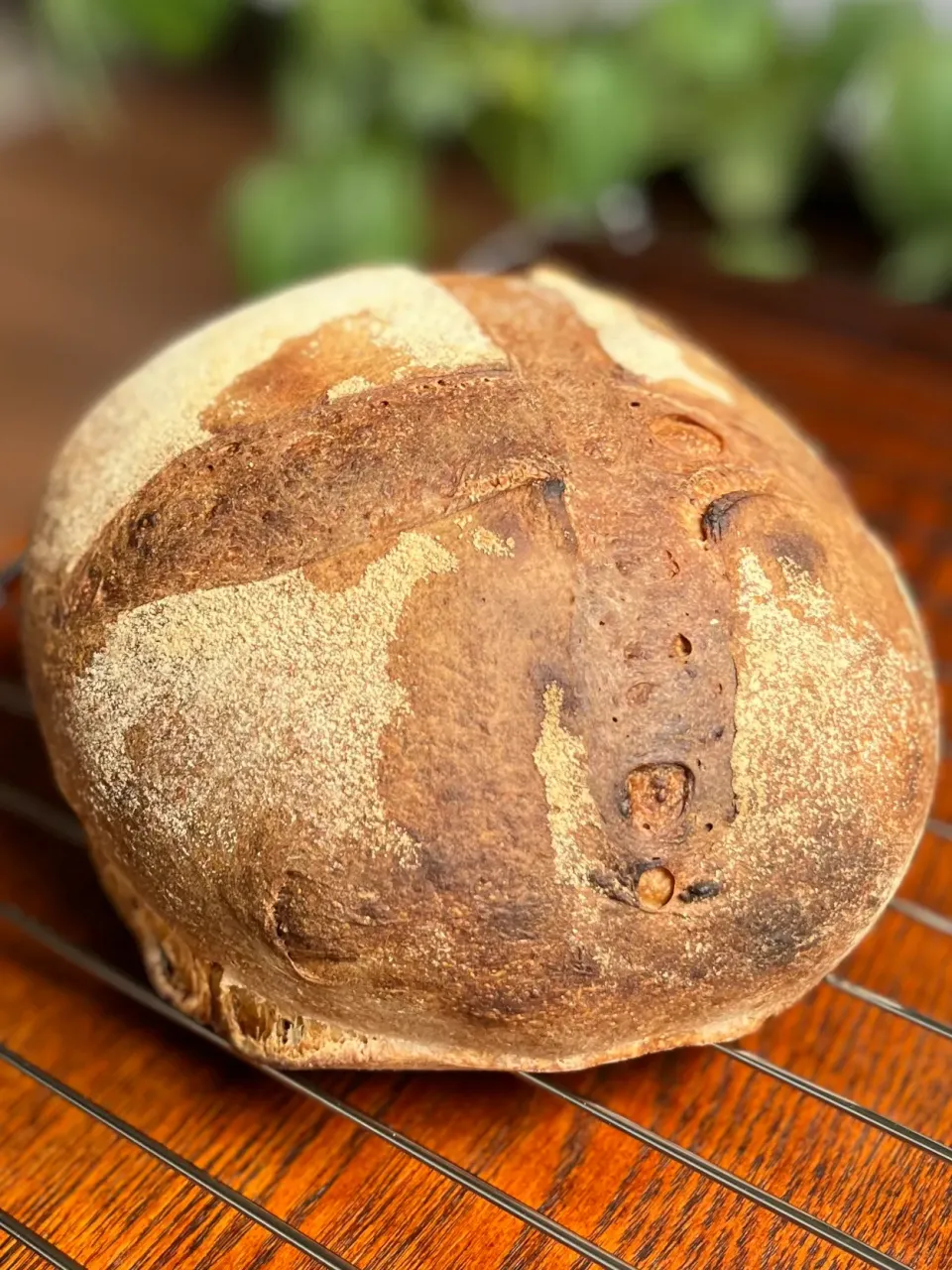 カンパーニュ🇫🇷 Pain de campagne|アッコちゃん✨さん