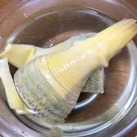 今年最後の筍|ちいこさん