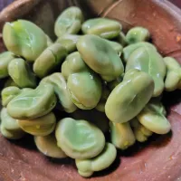 本日も、茹でそら豆|りふさん