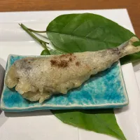 地元の日本料理店のメヒカリ天ぷら|pranzoさん
