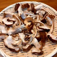 干し椎茸になぁれ！！