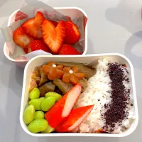 筑前煮弁当|matumotommさん