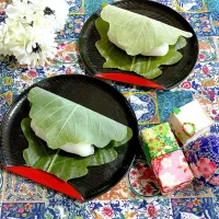 柏餅🎏