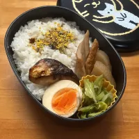 今日の地味弁|aru_sakazakさん