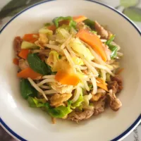 肉野菜炒め| aiさん