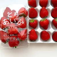 栃木の春いちご🍓| etsu1005さん