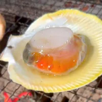 |gonさん