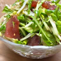 ポケサラダ🥗|HALさん