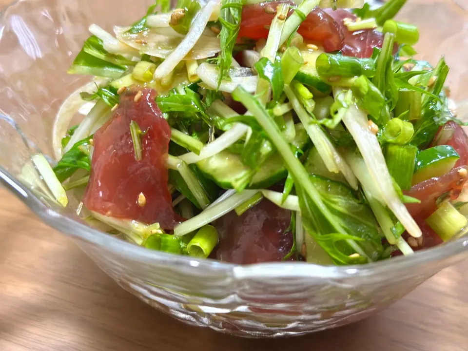 ポケサラダ🥗|HALさん