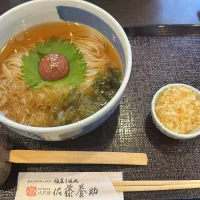 稲辺うどん|ホッシーさん