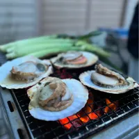 5/3の夕食　田舎でバーベキュー|yoneさん