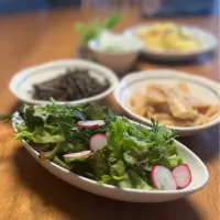 5/4の夕食　庭で採れた野菜でサラダ|yoneさん