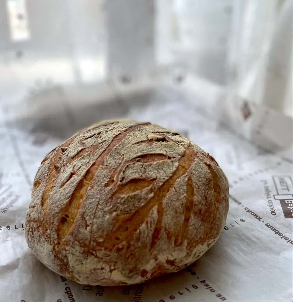 サワードウカンパーニュ|高野裕子さん