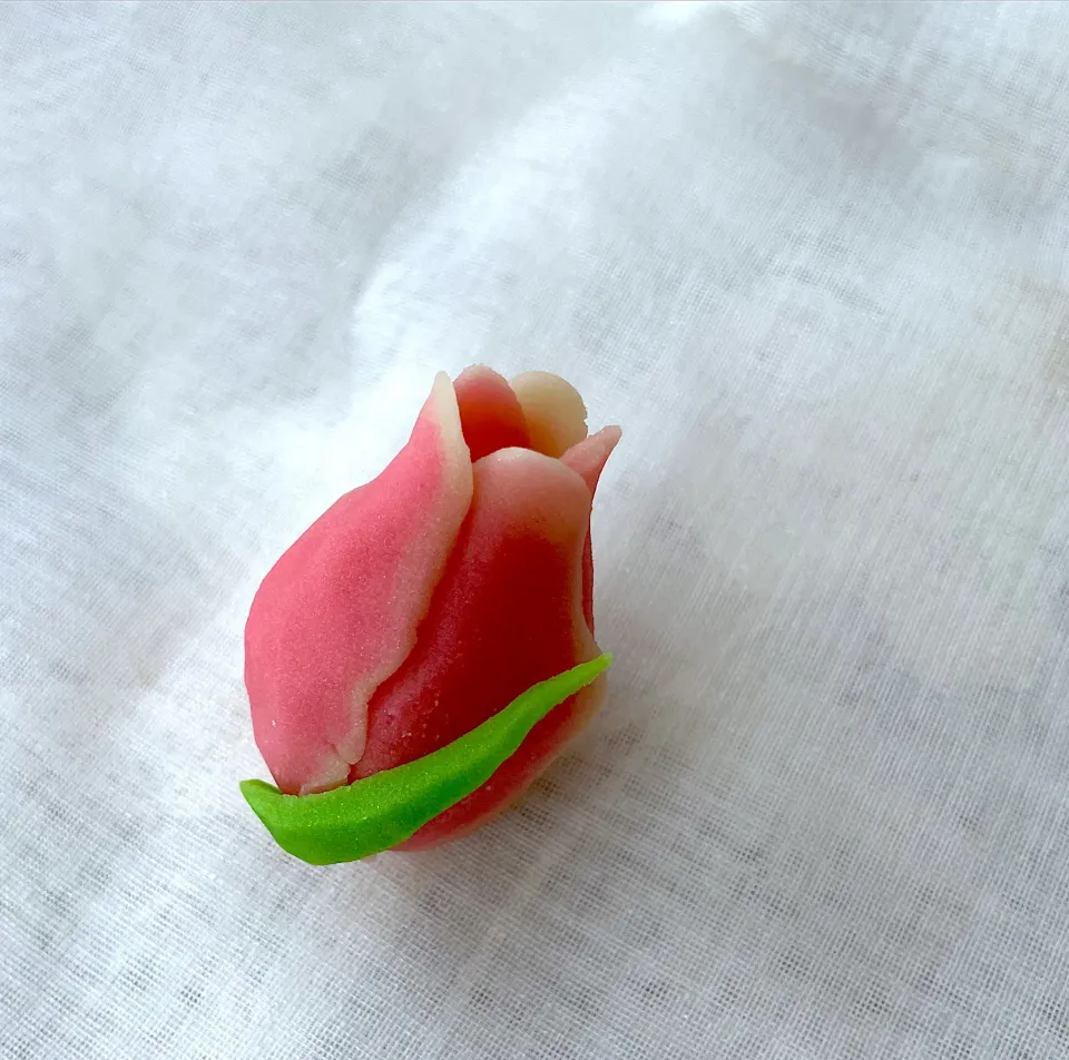 練り切り　チューリップ|高野裕子さん