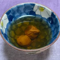梅醤番茶風|マシュマロールさん