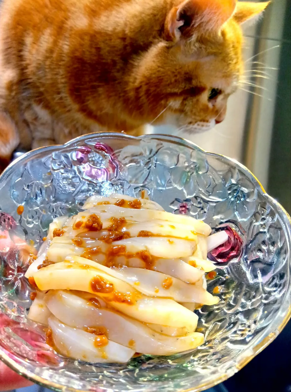 醤油麹で作ったイカの塩辛|さくらんぼさん