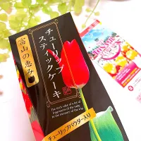 砺波チューリップフェア🌷|lalapoさん