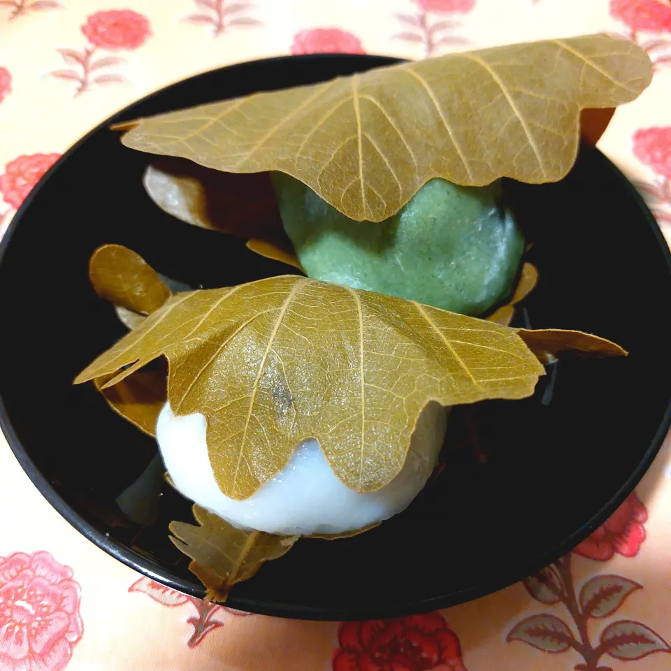 柏餅ー！|きつねさん