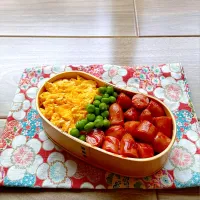 娘のお弁当|えこえこっちさん
