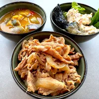朝ごはん　スープカレーと豚丼| 流線形さん