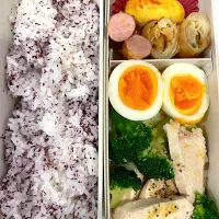 お弁当記録|まんちきさん