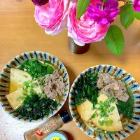 おうどん(*´▽｀*)ゞ　と薔薇♪| さくたえさん